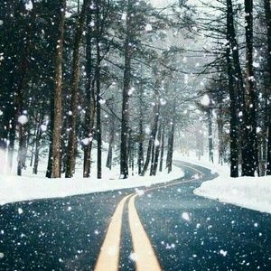 Meet your Posher, Rosalyn